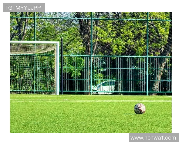 绿茵场上闪耀的足球星风采与拼搏精神故事 绿茵场上闪耀的足球星风采与拼搏精神故事