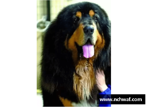 体育明星与他们宠物的独特关系：从名犬到异国情调的宠物
